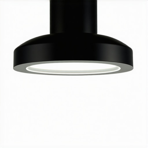 Eglo Townshend LED Ceiling Light Elegant modern LED ceiling light suitable for home and office interiors, with a sleek design and smart controls.