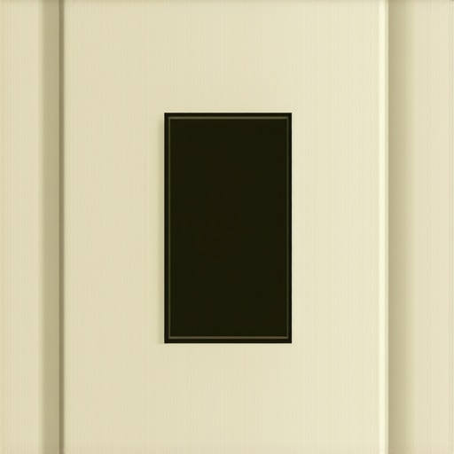 A sleek modern electrical switch installed in a contemporary home interior